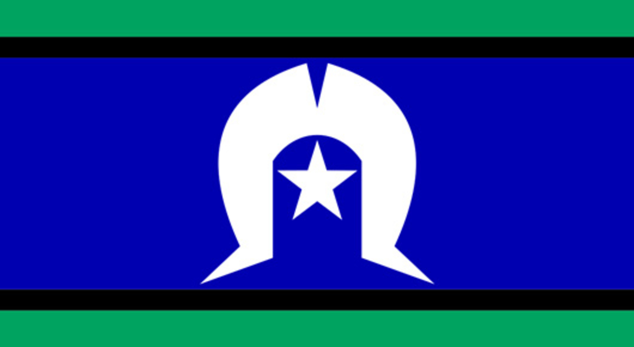 Egnet Kollektive Klassificer Torres Strait Islander flag | AIATSIS
