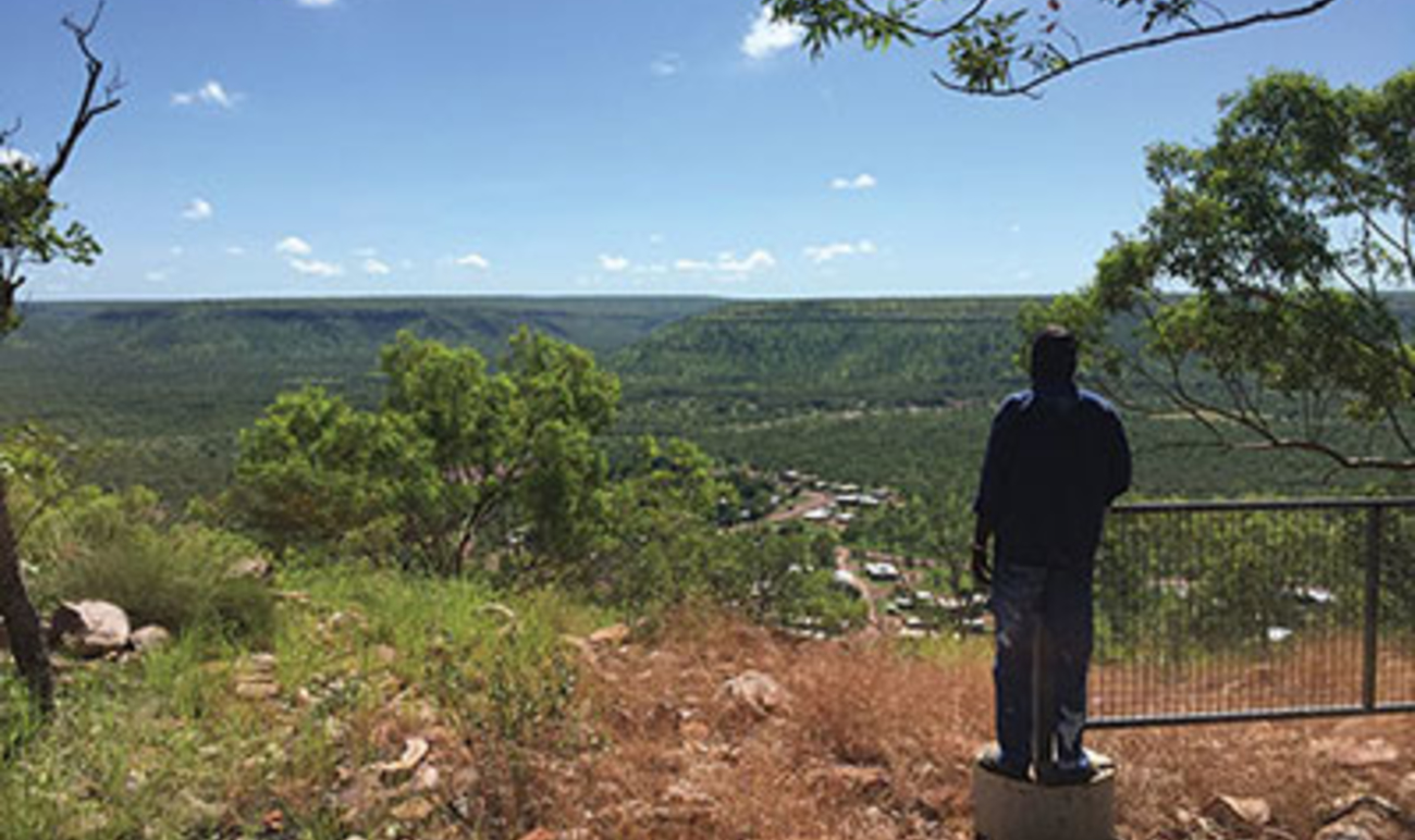 Man standing on a hill looking out across bushland