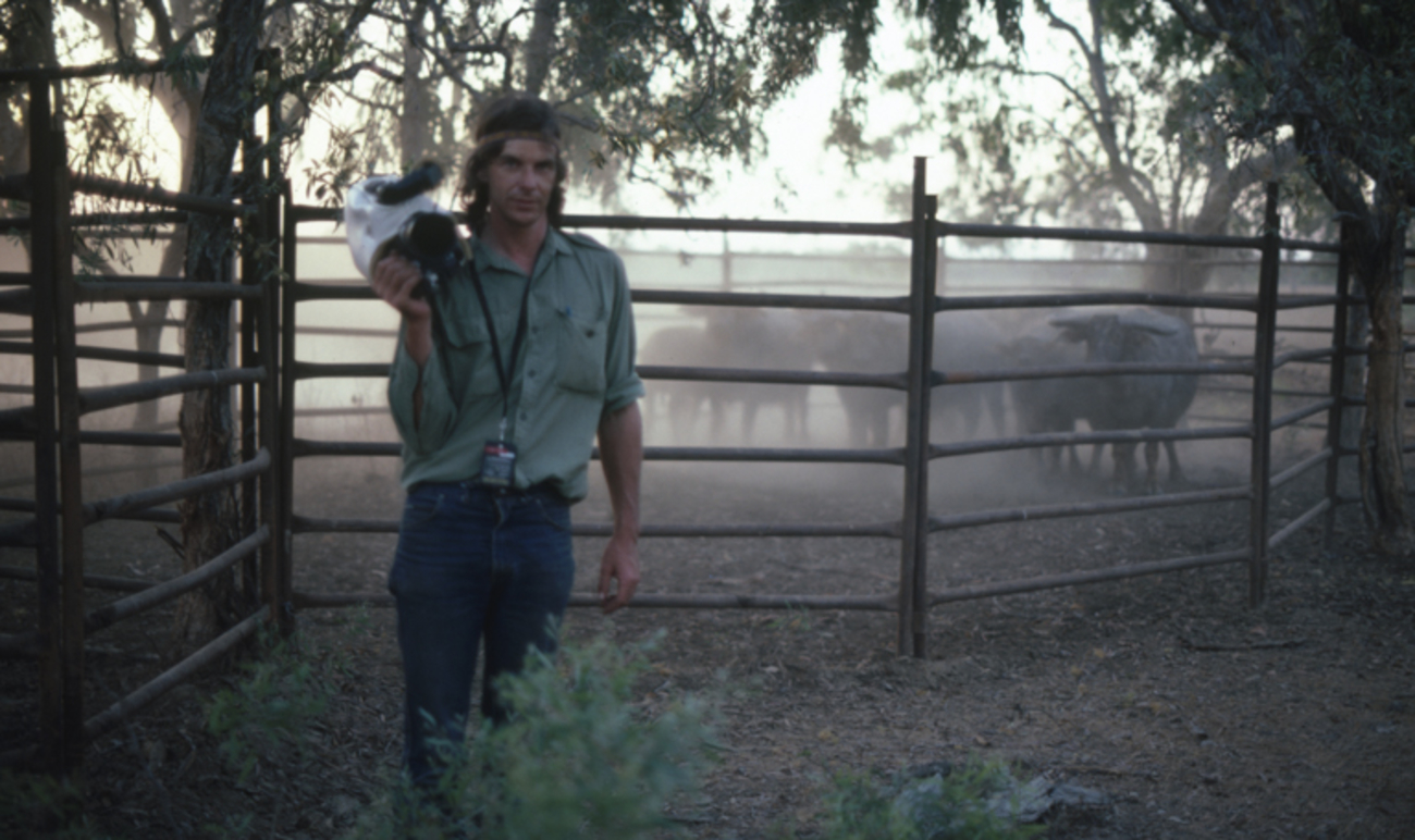 Kim McKenzie during the filming of Something of the Times, standing in front of buffalo in a pen