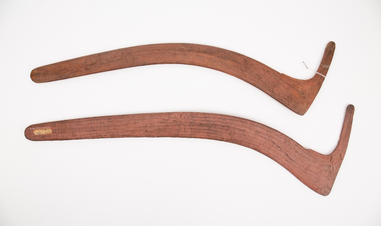 Warumungu boomerangs from Auckland collection