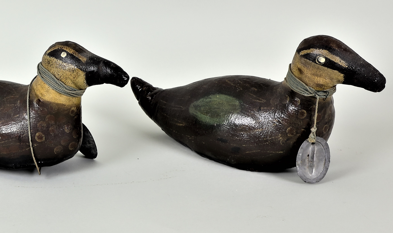 Decoy ducks