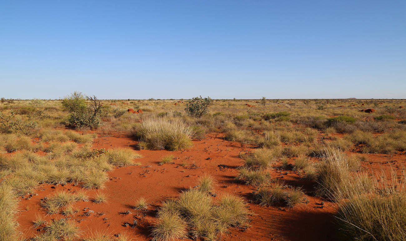 Warlpiri Country