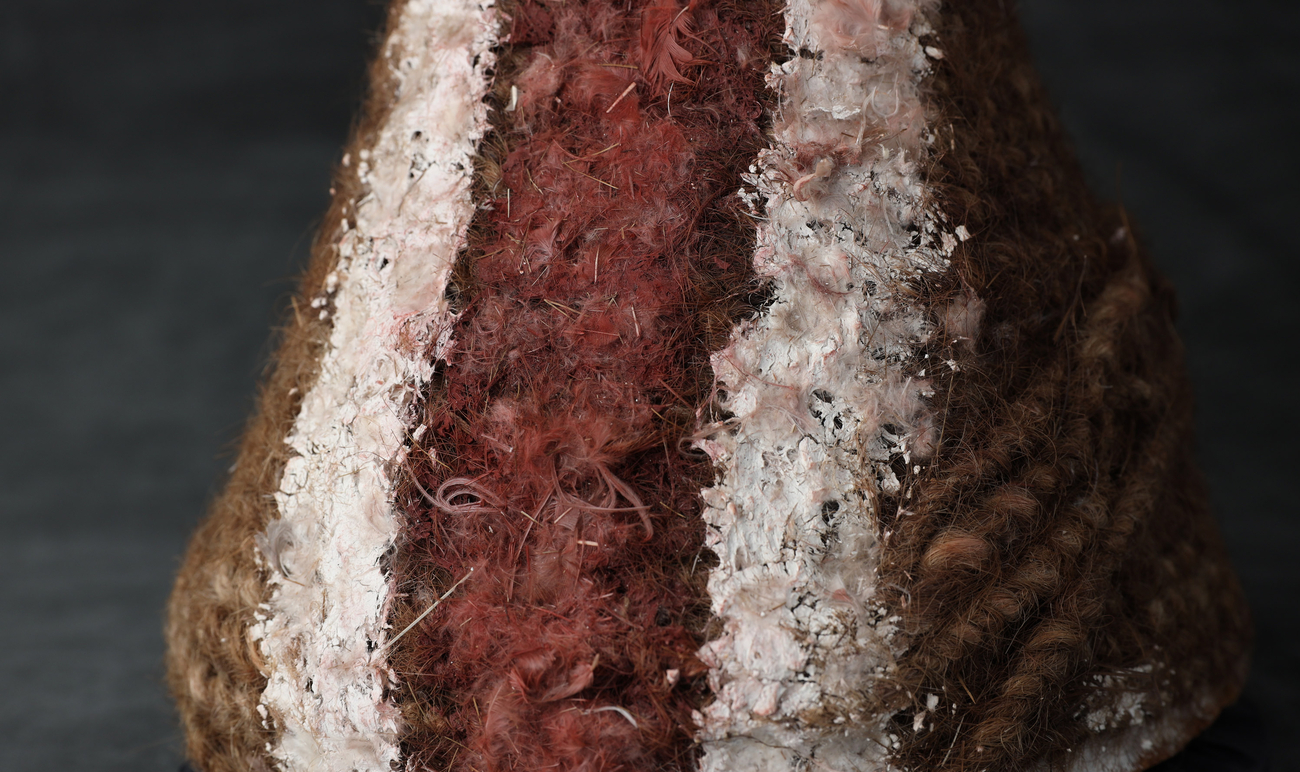 Detailed shot of the lardil headdress