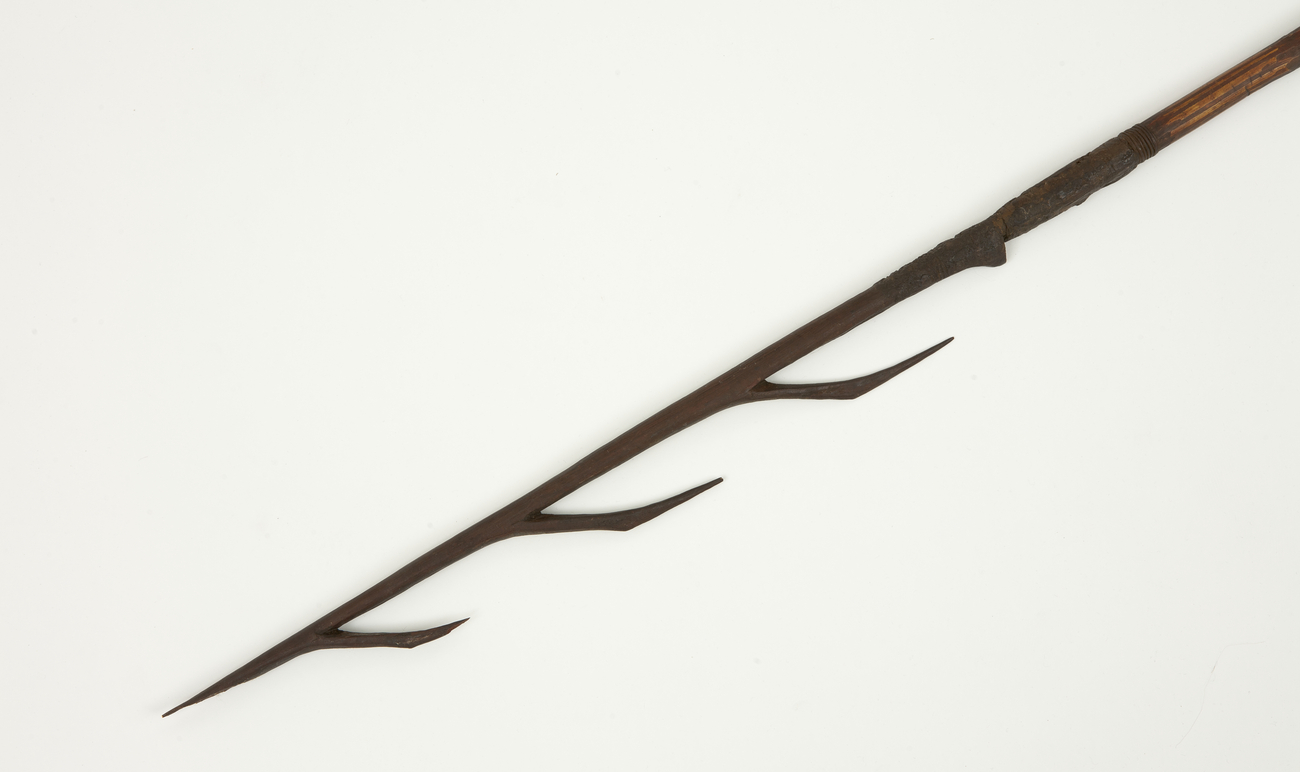 Repatriated Larrakia Spear (Source Bristol Museum & Art Gallery)